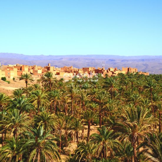 Circuits-au-Maroc-Kasbah-Oasis-Pameraie-Dunes-et-desert-en-4x4