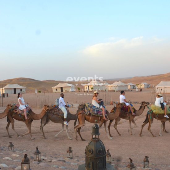 Découvertes à dos de dromadaire Marrakech Palmeraie Agafay désert
