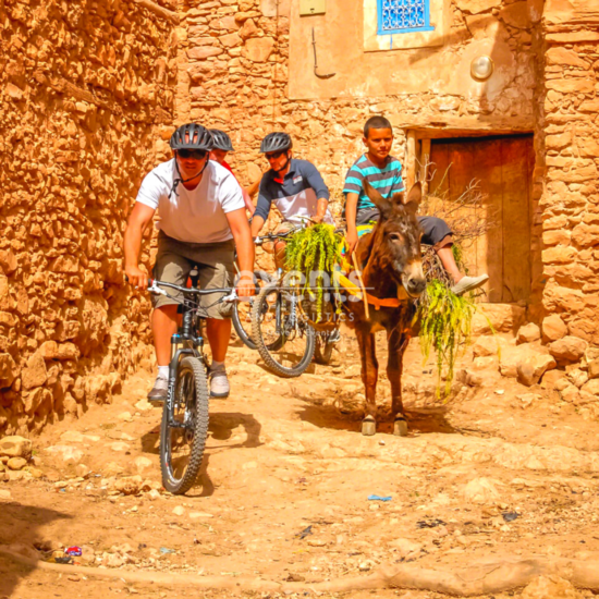 Visite guidée de Marrakech à vélo