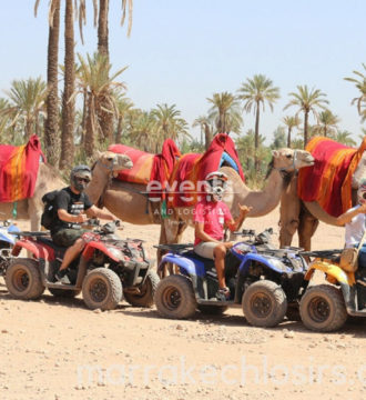Combiné dromadaires et Quads dans la palmeraie de Marrakech