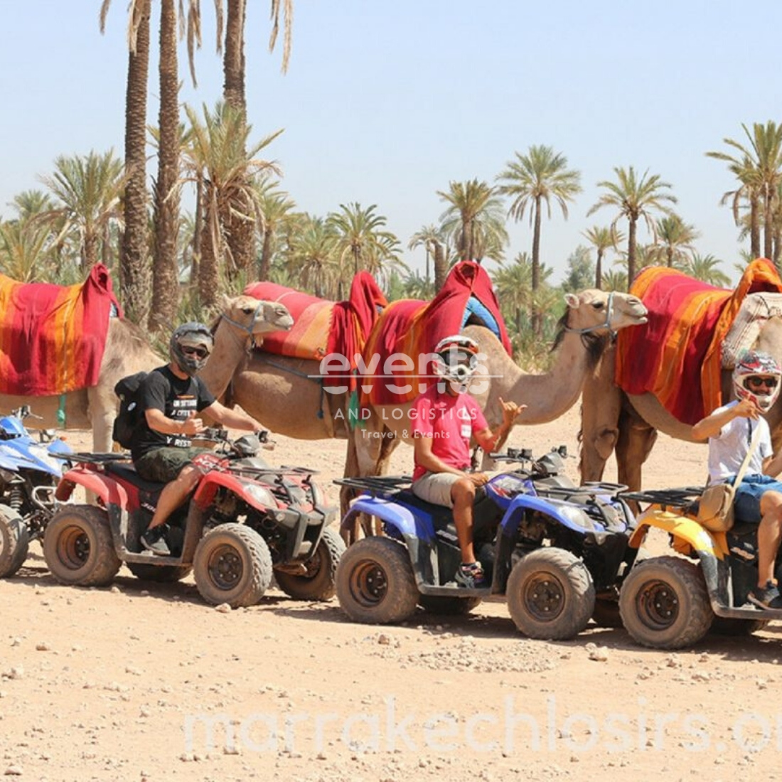 Combiné dromadaires et Quads dans la palmeraie de Marrakech