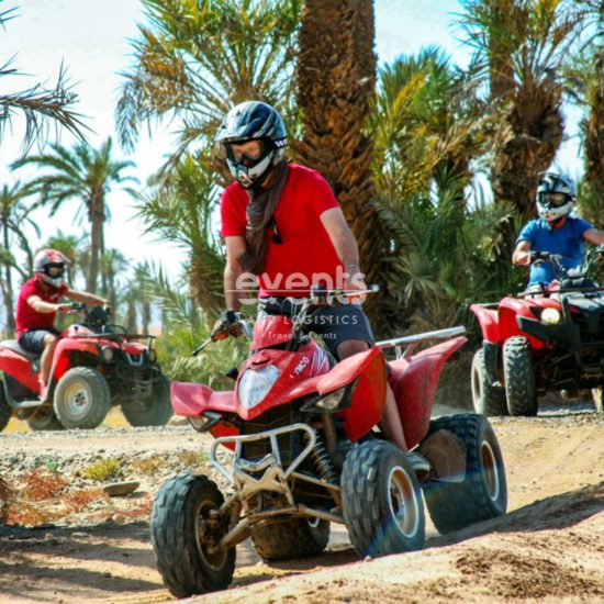 Expérience Quad-Buggy dans la palmeraie de Marrakech